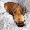 PLUSHPAWS™ ANXIETY EASING DOG BED