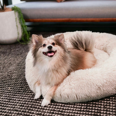 PLUSHPAWS™ ANXIETY EASING DOG BED